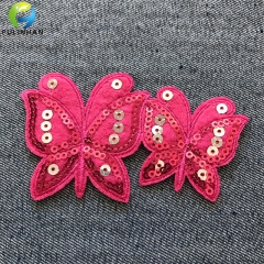 cucire sulle patch ricamate di sequin ricamate